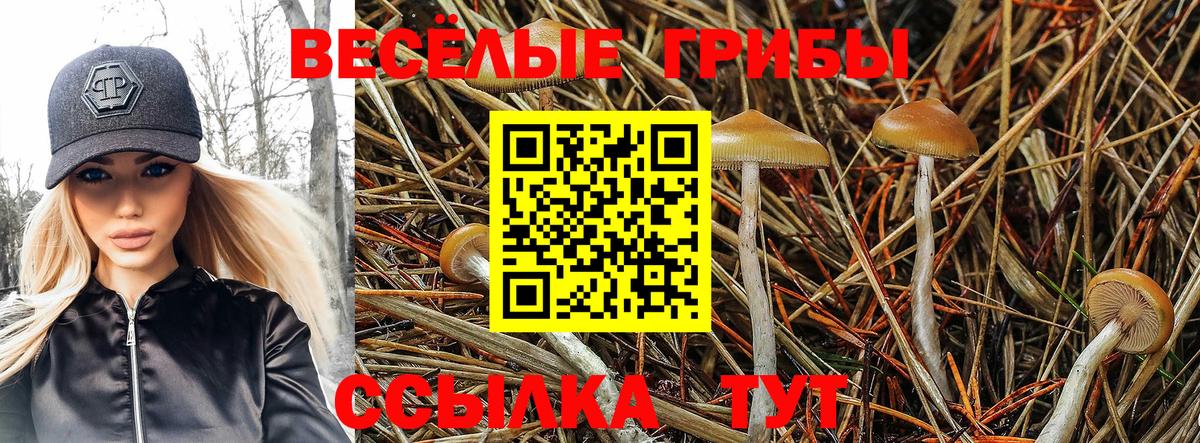 МЕТАМФЕТАМИН  ГАШ  Кокаин  Хасавюрт  Бошки Шишки  МЕФ   Амфетамин   Вход с VPN 