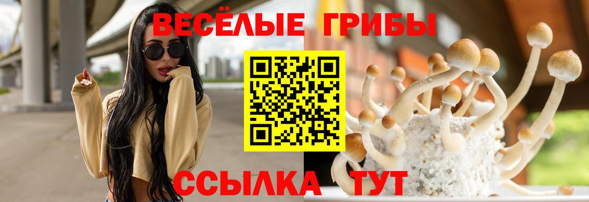 Галлюциногенные грибы MAGIC MUSHROOMS  Вход с VPN  Хасавюрт 